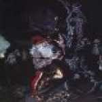 thumb_1502 (Medium).jpg